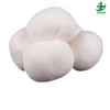 Disposable Sterile 100% Cotton High Absorbent and Soft Medical Gauze Ball