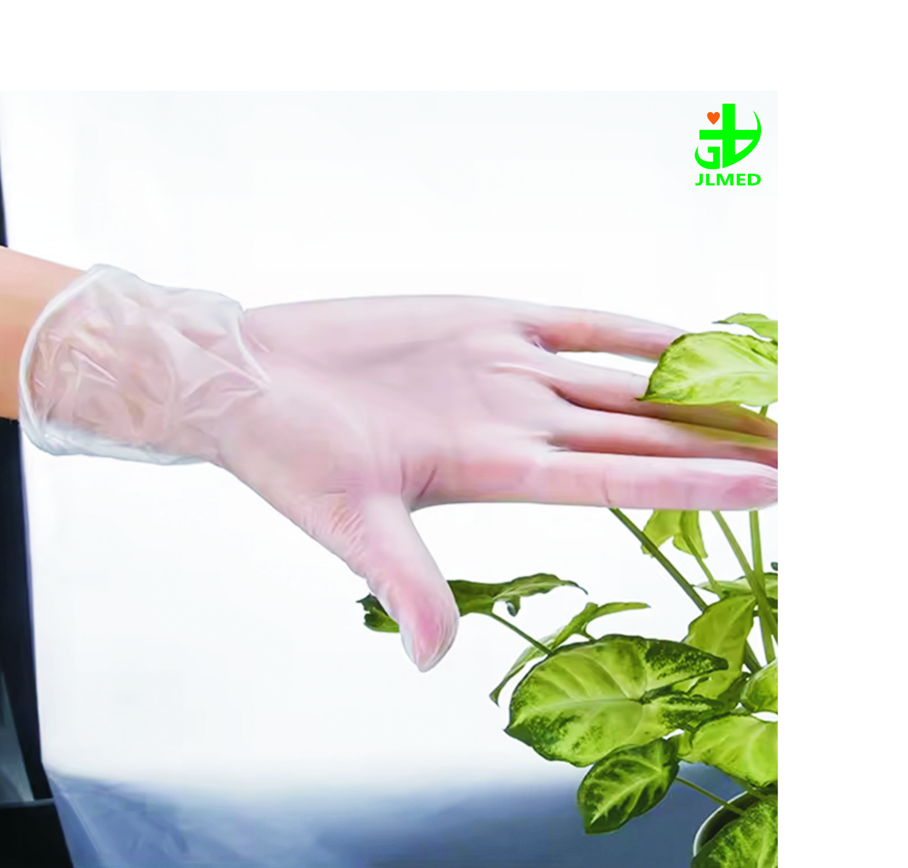 Disposable Transparent Medical Vinyl Gloves, Powder/Powder Free Examination Gloves