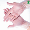 Disposable Transparent Medical Vinyl Gloves, Powder/Powder Free Examination Gloves